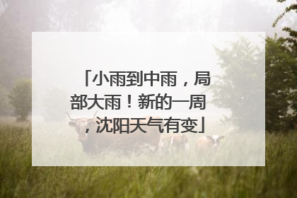 小雨到中雨，局部大雨！新的一周，沈阳天气有变
