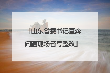 山东省委书记直奔问题现场督导整改