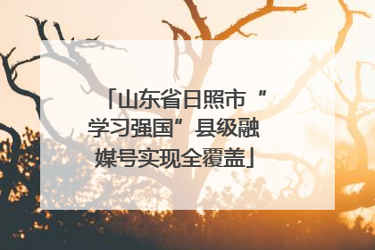 山东省日照市“学习强国”县级融媒号实现全覆盖