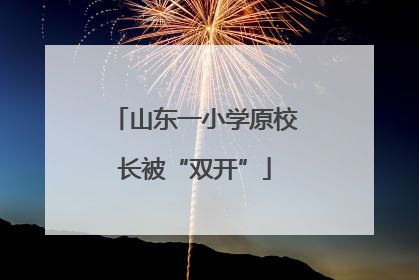山东一小学原校长被“双开”