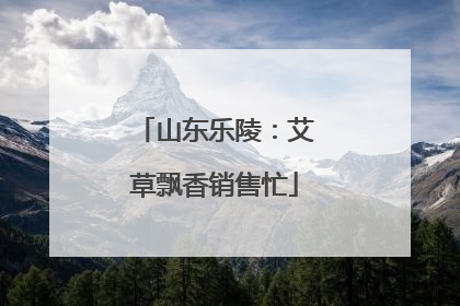 山东乐陵：艾草飘香销售忙