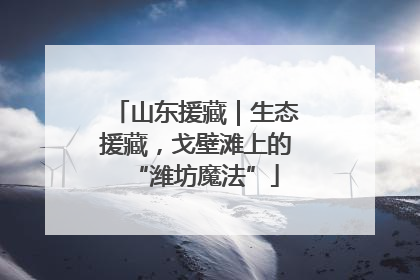 山东援藏｜生态援藏，戈壁滩上的“潍坊魔法”