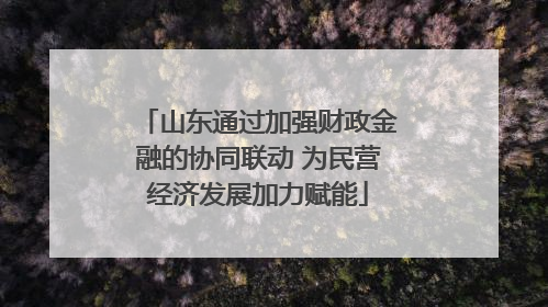 山东通过加强财政金融的协同联动 为民营经济发展加力赋能