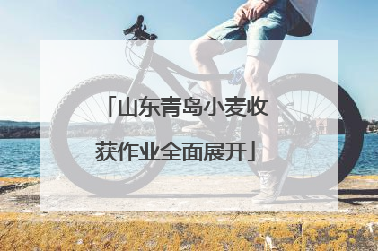 山东青岛小麦收获作业全面展开