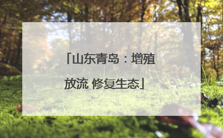 山东青岛：增殖放流 修复生态