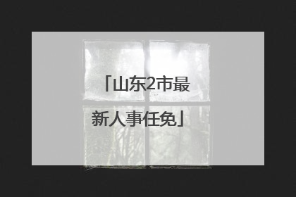 山东2市最新人事任免
