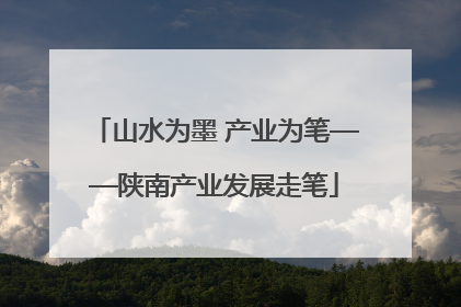 山水为墨 产业为笔——陕南产业发展走笔