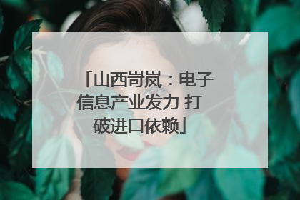 山西岢岚：电子信息产业发力 打破进口依赖