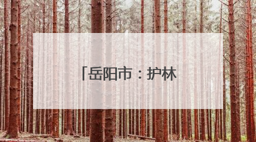 岳阳市：护林管理新路径全力守护青山绿水
