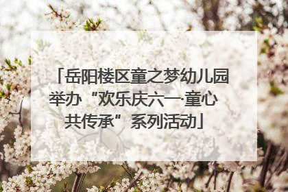 岳阳楼区童之梦幼儿园举办“欢乐庆六一·童心共传承”系列活动