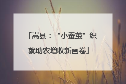 嵩县：“小蚕茧”织就助农增收新画卷