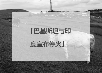 巴基斯坦与印度宣布停火