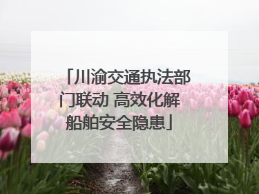 川渝交通执法部门联动 高效化解船舶安全隐患