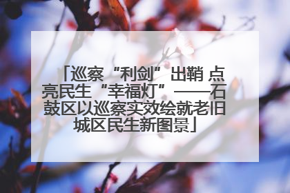 巡察“利剑”出鞘 点亮民生“幸福灯”——石鼓区以巡察实效绘就老旧城区民生新图景