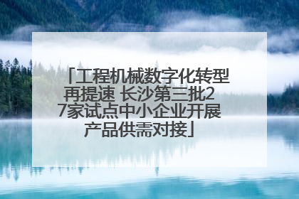 工程机械数字化转型再提速 长沙第三批27家试点中小企业开展产品供需对接