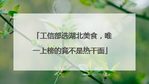 工信部选湖北美食，唯一上榜的竟不是热干面