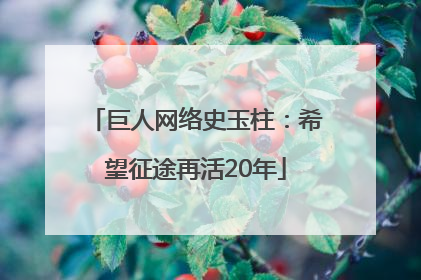 巨人网络史玉柱：希望征途再活20年