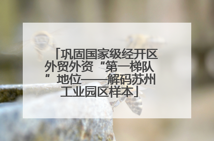 巩固国家级经开区外贸外资“第一梯队”地位——解码苏州工业园区样本