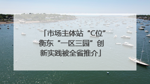 市场主体站“C位” 衡东“一区三园”创新实践被全省推介