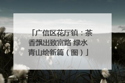 广信区花厅镇：茶香飘出致富路 绿水青山绘新篇（图）