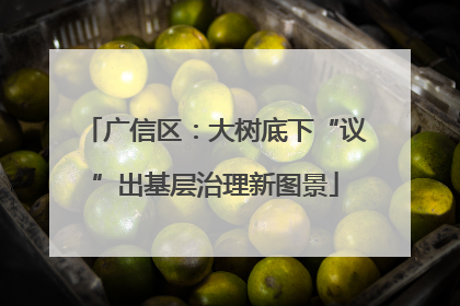 广信区：大树底下“议”出基层治理新图景