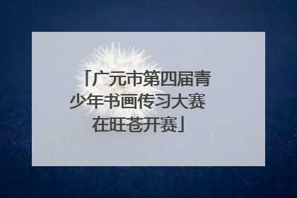 广元市第四届青少年书画传习大赛在旺苍开赛