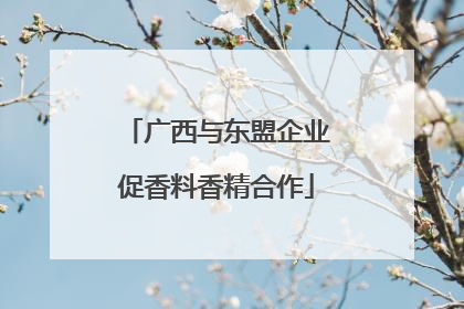 广西与东盟企业促香料香精合作
