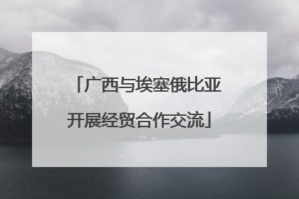 广西与埃塞俄比亚开展经贸合作交流