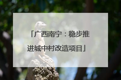 广西南宁：稳步推进城中村改造项目
