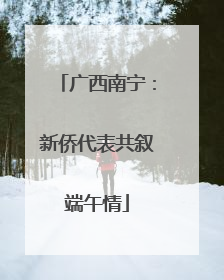 广西南宁：新侨代表共叙端午情
