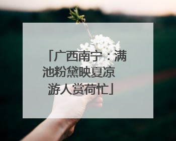 广西南宁：满池粉黛映夏凉 游人赏荷忙
