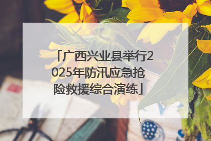 广西兴业县举行2025年防汛应急抢险救援综合演练