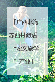 广西北海赤西村激活“农文旅学”产业