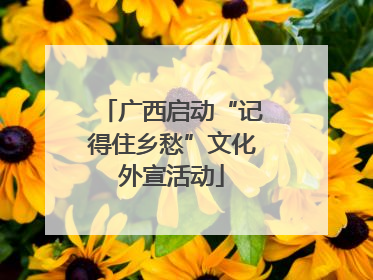 广西启动“记得住乡愁”文化外宣活动