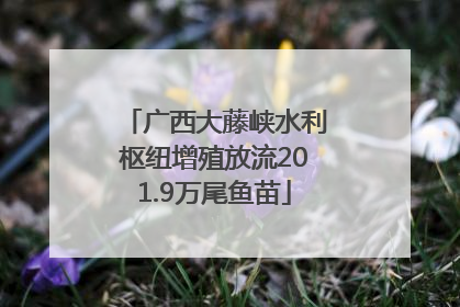 广西大藤峡水利枢纽增殖放流201.9万尾鱼苗