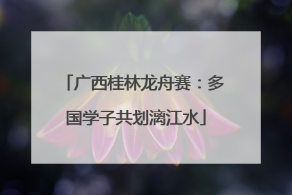 广西桂林龙舟赛：多国学子共划漓江水