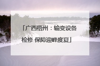广西梧州：输变设备检修 保障迎峰度夏