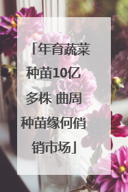 年育蔬菜种苗10亿多株 曲周种苗缘何俏销市场