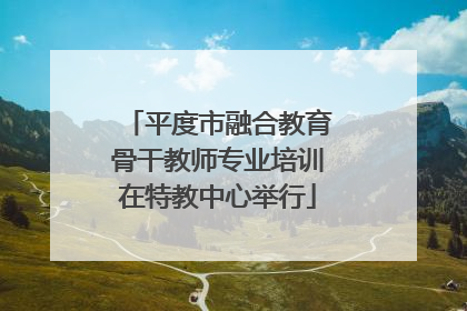 平度市融合教育骨干教师专业培训在特教中心举行
