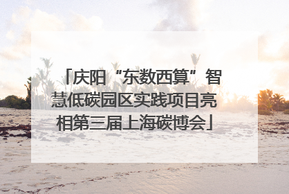 庆阳“东数西算”智慧低碳园区实践项目亮相第三届上海碳博会