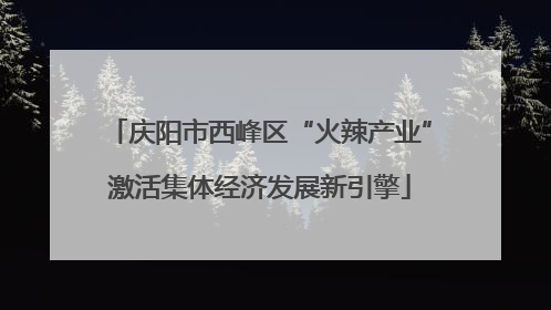 庆阳市西峰区“火辣产业”激活集体经济发展新引擎