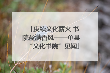 庚续文化薪火 书院盈满香风——单县“文化书院”见闻