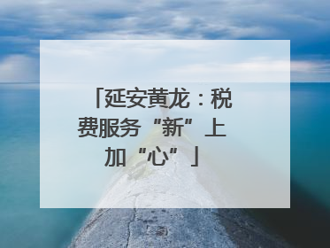 延安黄龙：税费服务“新”上加“心”