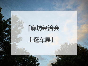 廊坊经洽会上逛车展