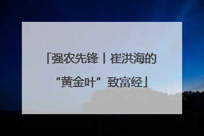 强农先锋丨崔洪海的“黄金叶”致富经