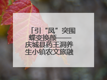 引“凤”突围 蝶变换颜——庆城县药王洞养生小镇农文旅融合发展纪实