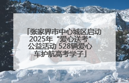 张家界市中心城区启动2025年“爱心送考”公益活动 528辆爱心车护航高考学子