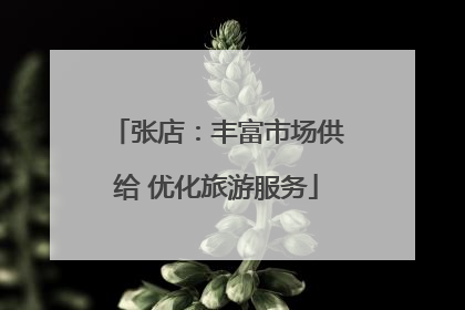 张店：丰富市场供给 优化旅游服务