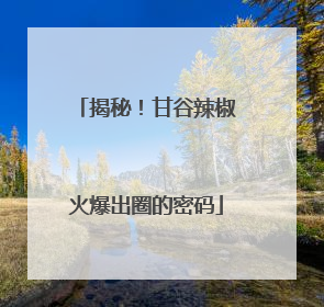 揭秘！甘谷辣椒火爆出圈的密码