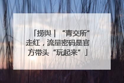 捞舆｜“青交所”走红，流量密码是官方带头“玩起来”